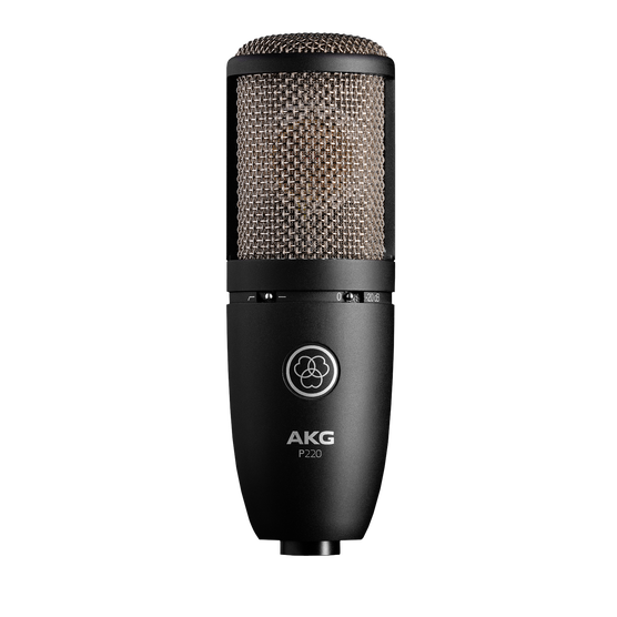 AKG P 220