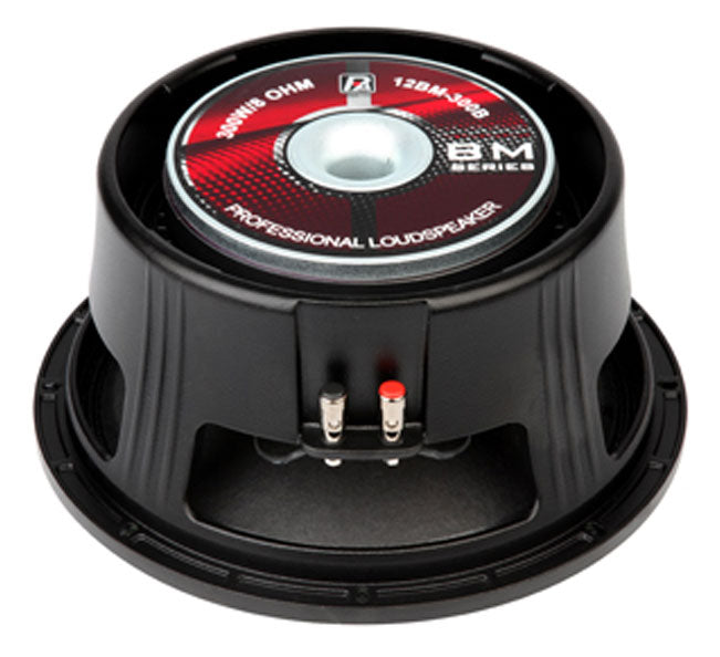 P AUDIO 12 BM 300B