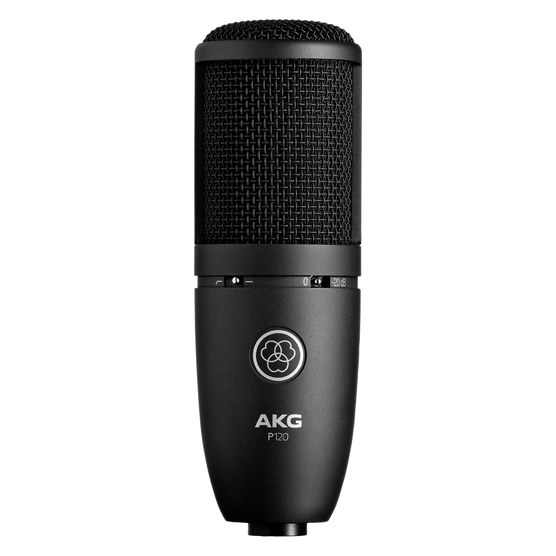 AKG P 120